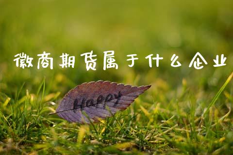 徽商期货属于什么企业_https://m.ycdhulan.com_证券新闻_第1张