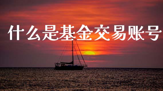 什么是基金交易账号_https://m.ycdhulan.com_股市在线_第1张