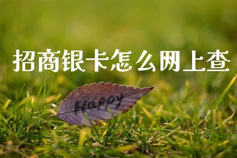招商银卡怎么网上查_https://m.ycdhulan.com_国际金融_第1张