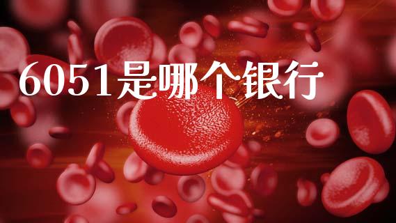 6051是哪个银行_https://m.ycdhulan.com_股市在线_第1张
