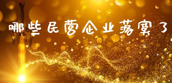 哪些民营企业落寞了_https://m.ycdhulan.com_国际金融_第1张