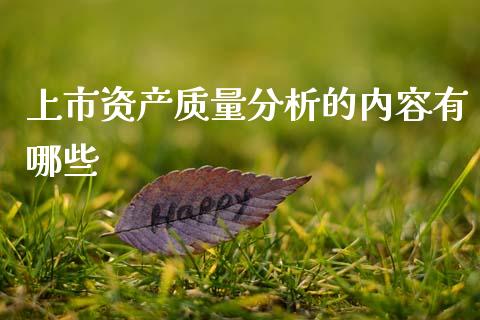 上市资产质量分析的内容有哪些_https://m.ycdhulan.com_股市在线_第1张