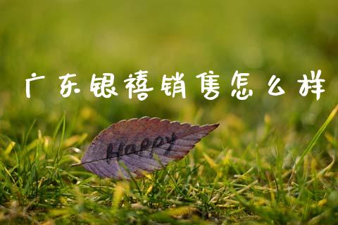 广东银禧销售怎么样_https://m.ycdhulan.com_国际金融_第1张
