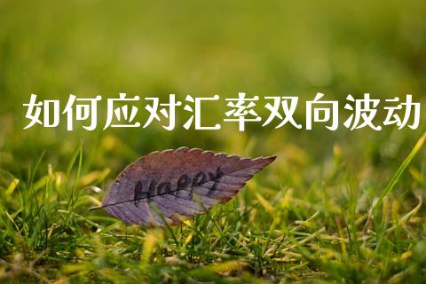 如何应对汇率双向波动_https://m.ycdhulan.com_国际金融_第1张