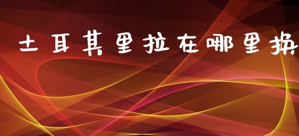 土耳其里拉在哪里换_https://m.ycdhulan.com_证券新闻_第1张
