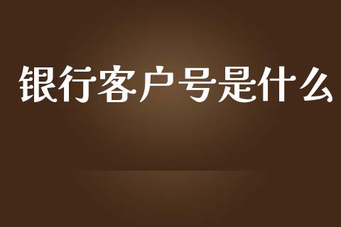 银行客户号是什么_https://m.ycdhulan.com_理财产品_第1张