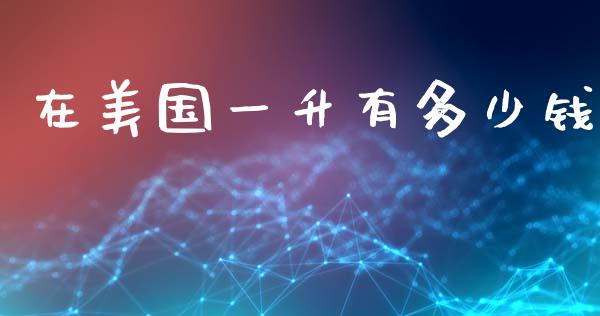 在美国一升有多少钱_https://m.ycdhulan.com_国际金融_第1张