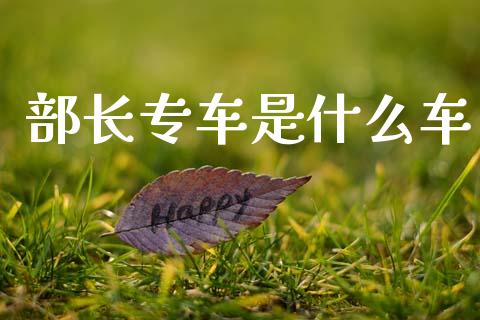 部长专车是什么车_https://m.ycdhulan.com_股市在线_第1张