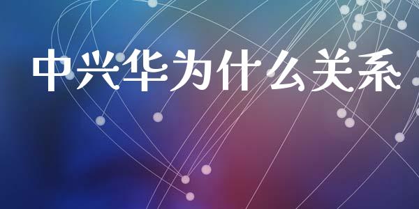 中兴华为什么关系_https://m.ycdhulan.com_证券新闻_第1张