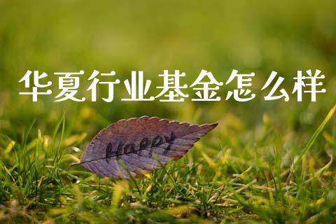 华夏行业基金怎么样_https://m.ycdhulan.com_财经要闻_第1张