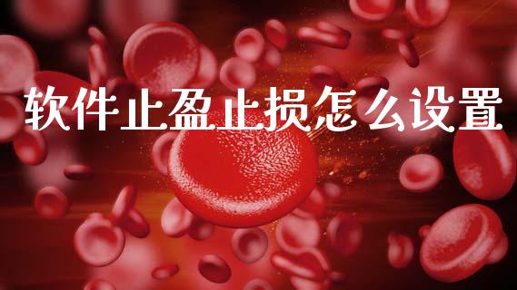 软件止盈止损怎么设置_https://m.ycdhulan.com_股市在线_第1张