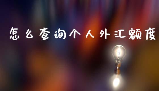 怎么查询个人外汇额度_https://m.ycdhulan.com_国际金融_第1张