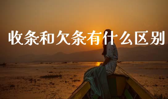 收条和欠条有什么区别_https://m.ycdhulan.com_国际金融_第1张
