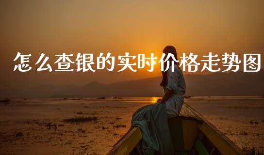怎么查银的实时价格走势图_https://m.ycdhulan.com_期货交易_第1张