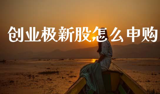 创业极新股怎么申购_https://m.ycdhulan.com_证券新闻_第1张