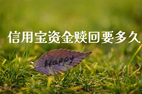 信用宝资金赎回要多久_https://m.ycdhulan.com_理财产品_第1张