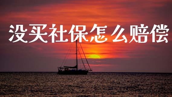 没买社保怎么赔偿_https://m.ycdhulan.com_财经要闻_第1张