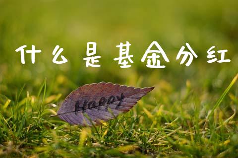 什么是基金分红_https://m.ycdhulan.com_国际金融_第1张