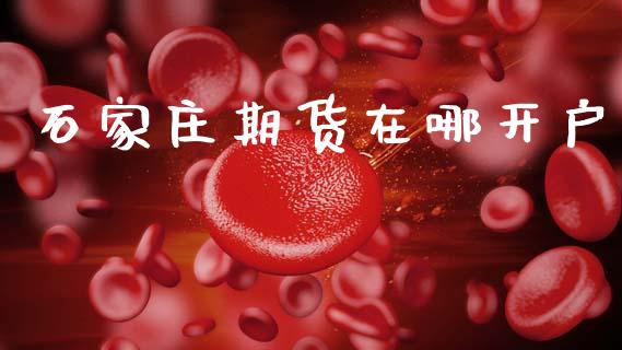 石家庄期货在哪开户_https://m.ycdhulan.com_期货交易_第1张