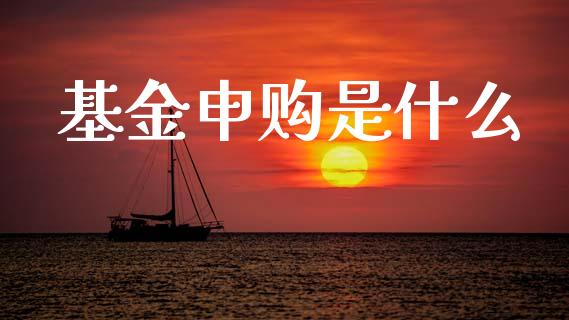 基金申购是什么_https://m.ycdhulan.com_财经要闻_第1张