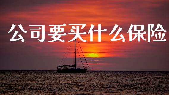 公司要买什么保险_https://m.ycdhulan.com_理财产品_第1张