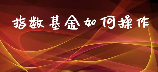 指数基金如何操作_https://m.ycdhulan.com_理财产品_第1张