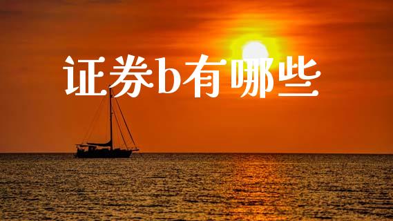 证券b有哪些_https://m.ycdhulan.com_国际金融_第1张