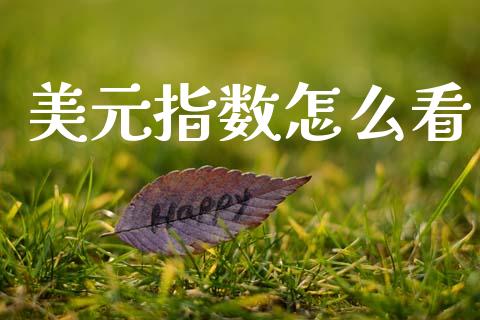 美元指数怎么看_https://m.ycdhulan.com_股市在线_第1张