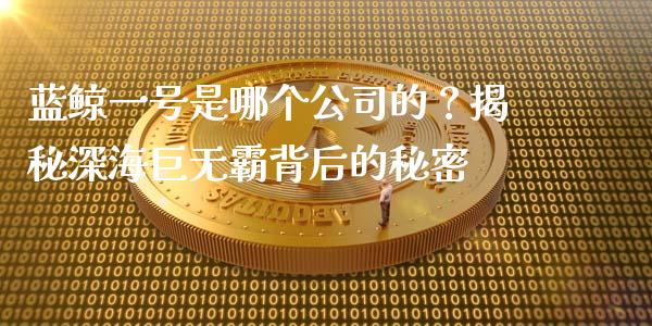 蓝鲸一号是哪个公司的？揭秘深海巨无霸背后的秘密_https://m.ycdhulan.com_期货交易_第1张