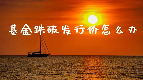 基金跌破发行价怎么办_https://m.ycdhulan.com_股市在线_第1张