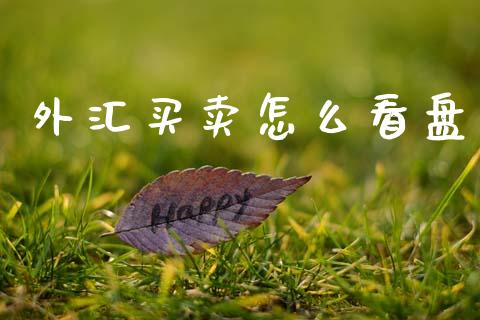 外汇买卖怎么看盘_https://m.ycdhulan.com_证券新闻_第1张
