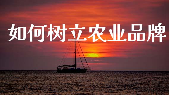 如何树立农业品牌_财经要闻_第1张_财经要闻_股市在线_理财产品_国际金融 如何树立农业品牌_https://m.ycdhulan.com_财经要闻_第1张