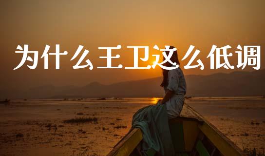 为什么王卫这么低调_https://m.ycdhulan.com_国际金融_第1张