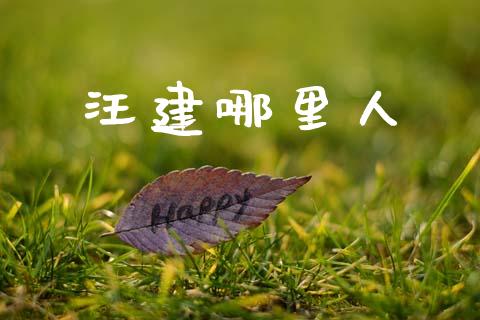 汪建哪里人_https://m.ycdhulan.com_国际金融_第1张