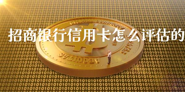 招商银行信用卡怎么评估的_https://m.ycdhulan.com_理财产品_第1张