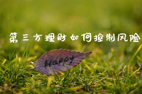 第三方理财如何控制风险_https://m.ycdhulan.com_期货交易_第1张