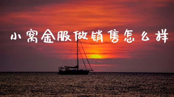 小窝金服做销售怎么样_https://m.ycdhulan.com_股市在线_第1张