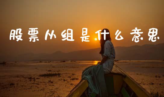 股票从组是什么意思_https://m.ycdhulan.com_期货交易_第1张