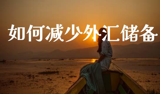 如何减少外汇储备_https://m.ycdhulan.com_国际金融_第1张