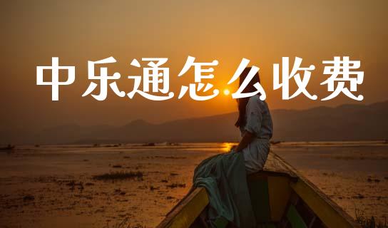中乐通怎么收费_https://m.ycdhulan.com_证券新闻_第1张