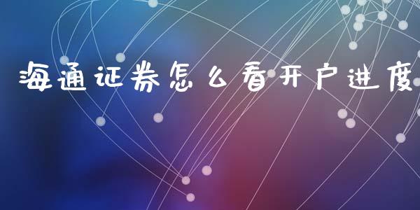 海通证券怎么看开户进度_https://m.ycdhulan.com_国际金融_第1张