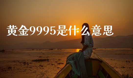 黄金9995是什么意思_https://m.ycdhulan.com_证券新闻_第1张