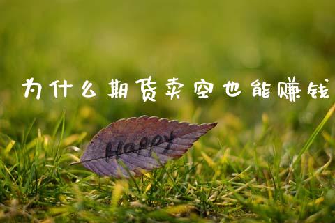 为什么期货卖空也能赚钱_https://m.ycdhulan.com_国际金融_第1张