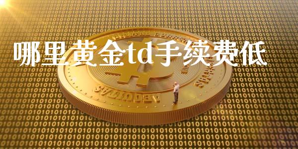 哪里黄金td手续费低_https://m.ycdhulan.com_期货交易_第1张