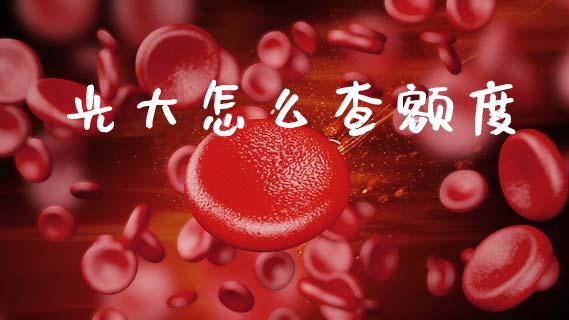 光大怎么查额度_https://m.ycdhulan.com_股市在线_第1张