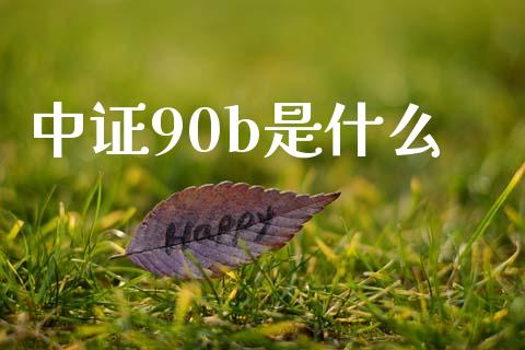 中证90b是什么_https://m.ycdhulan.com_国际金融_第1张