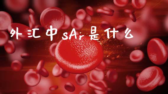 外汇中sAr是什么_https://m.ycdhulan.com_理财产品_第1张
