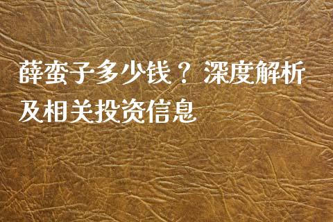 薛蛮子多少钱？ 深度解析及相关投资信息_https://m.ycdhulan.com_证券新闻_第1张
