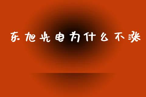 东旭光电为什么不涨_https://m.ycdhulan.com_股市在线_第1张