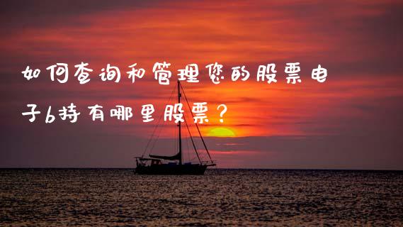 如何查询和管理您的股票电子b持有哪里股票？_https://m.ycdhulan.com_国际金融_第1张
